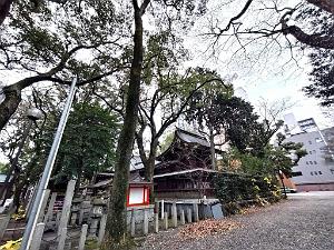 NAGOYA - Centre Ville et Vie Quotidienne - Janvier 2024 - 046